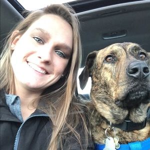 Meet your Posher, Shelby